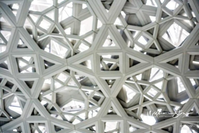 Fostering Hope: A Hilarious Look at Foster America