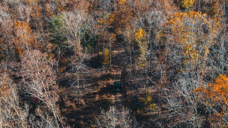 Thrilling Ozark Action: A Comprehensive Guide