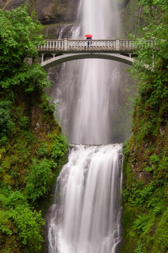 Do Good Multnomah: Making a Difference in PDX