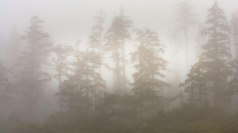 Pacific Symphony’s Hits: Not Just Waves Crashing!