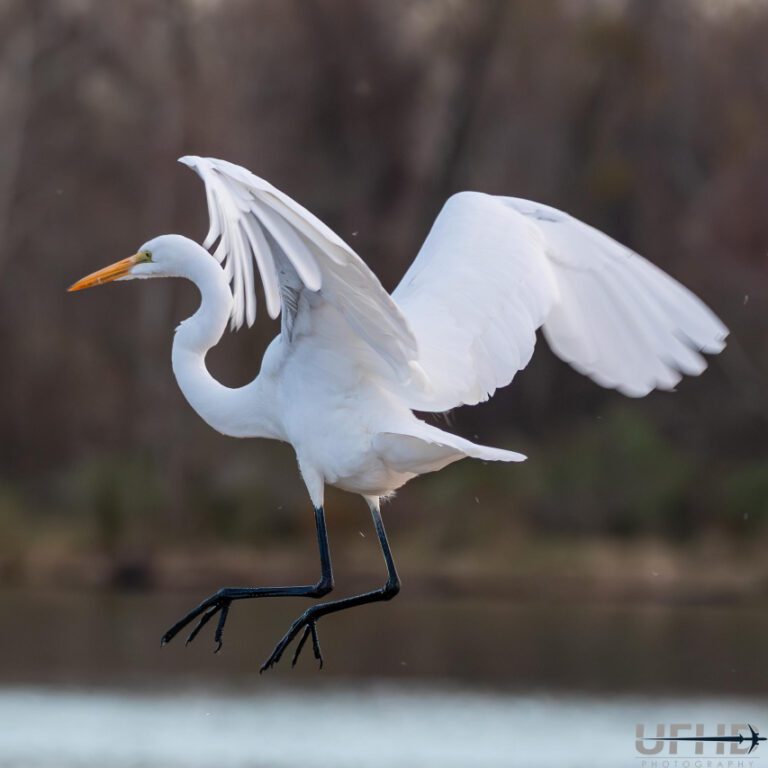 Houston, We Have a Landing: A Guide to H-Town’s Best Spots