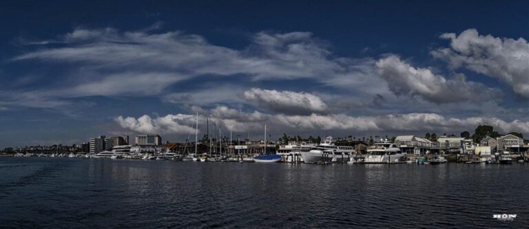 Explore the Wonders at Balboa Park Museum of Natural History