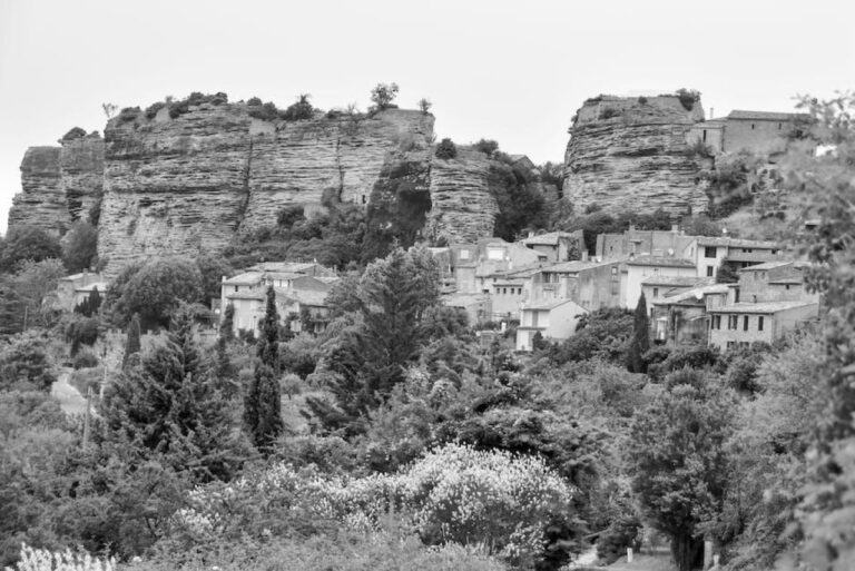 Bellevue’s Botanic Bliss: A Garden Lover’s Guide!