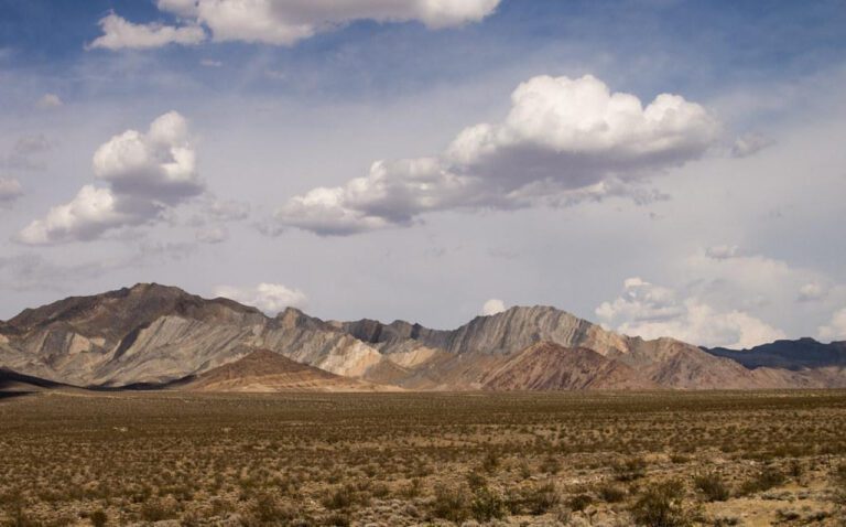 Silver State Int’l: Where Nevada Shines Bright!