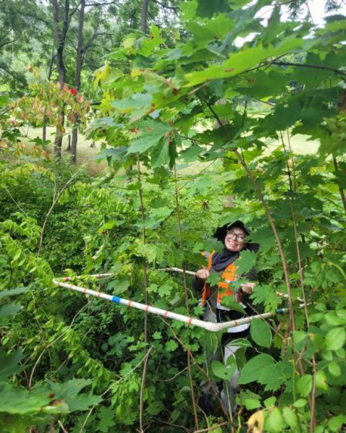 Exploring Edgerton Park: A Hidden Gem in Connecticut