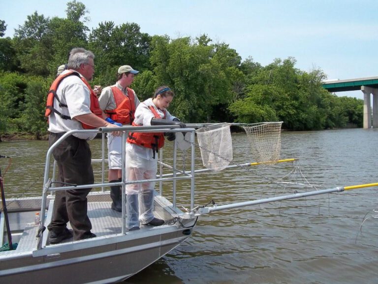 Aquakids: The Future of Water Sports for Kids