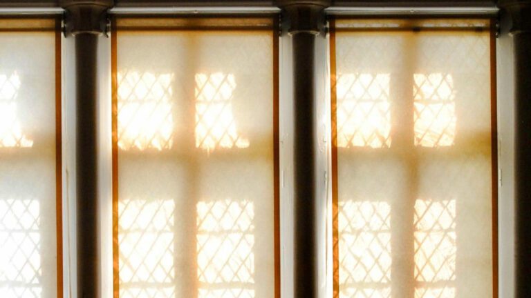 Discover Culpepper Gardens: A Hidden Oasis