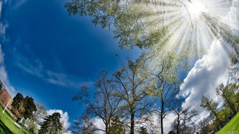 UW Credit Union Madison WI: A Complete Guide