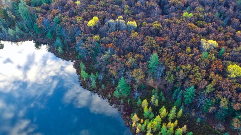 Coral Lakes: Boynton Beach’s Best Kept Secret!