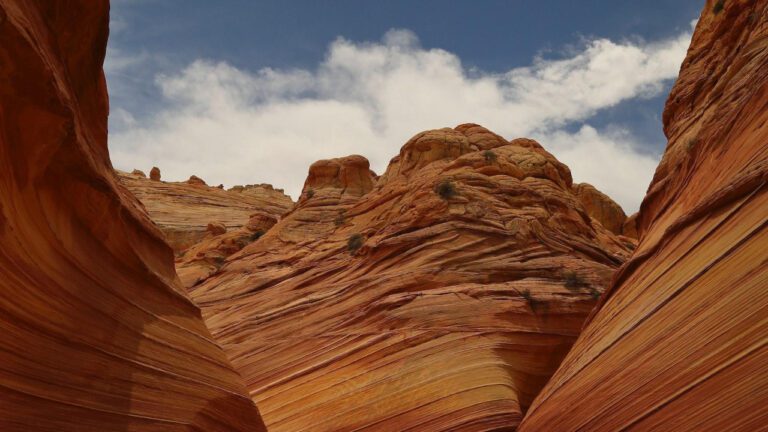 Pawesome Adventures at the Riverbank