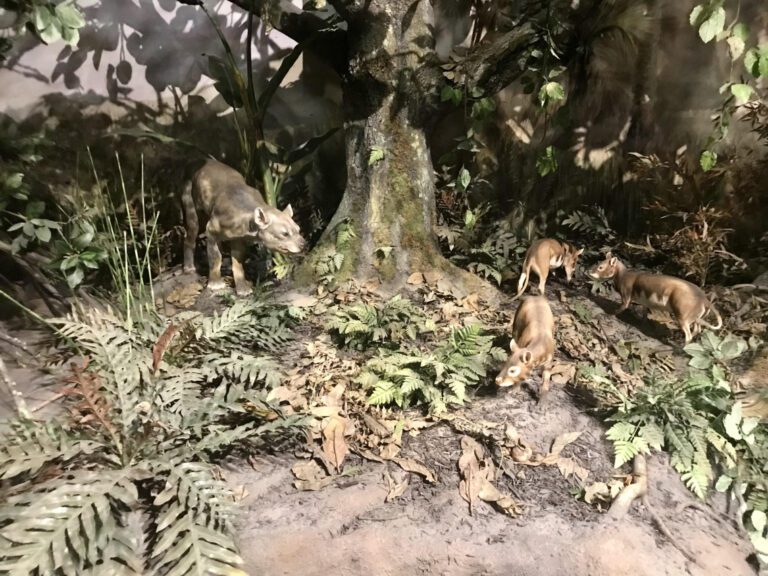 Stunning Photos from San Diego Natural History Museum