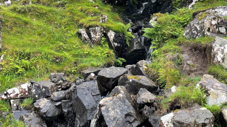 Exploring the Charm of Glen Aire: A Complete Guide