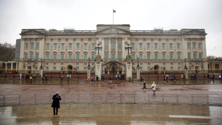 Unleash Your Inner Wild with a Visit to Wilderstein Mansion