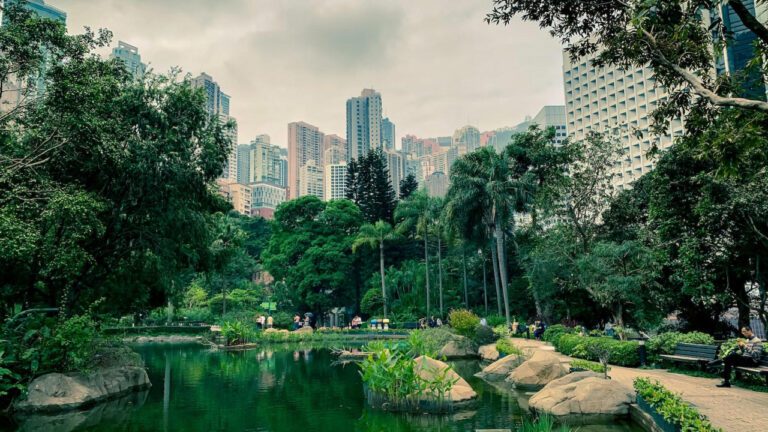 Park Place Elmhurst: The Go-To Spot for Fun and Sun