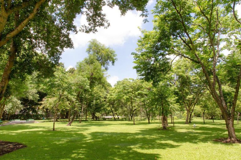 Get Your Green On: The Best Parks in Johnson County!