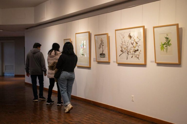 Discover the Music Magic at Brooklyn Conservatory!