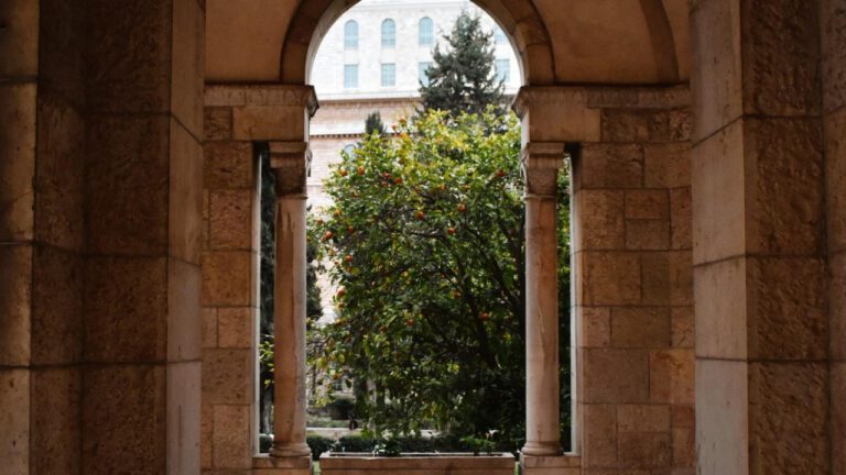 Discover the Wild Side of YMCA Meadowlands: Where Fitness Meets Fun!