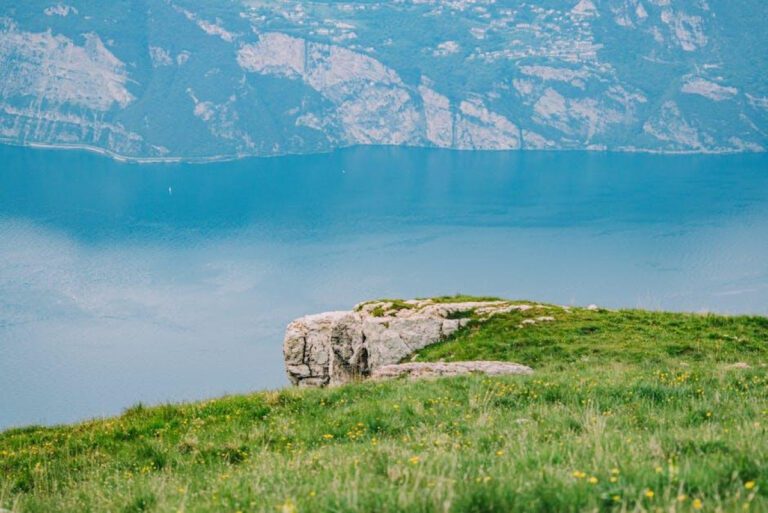 Uncovering the Quirks of Mehop Bay: Your Go-To Guide for Bay City, TX