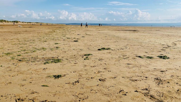 Discover the Heart of Staunton YMCA