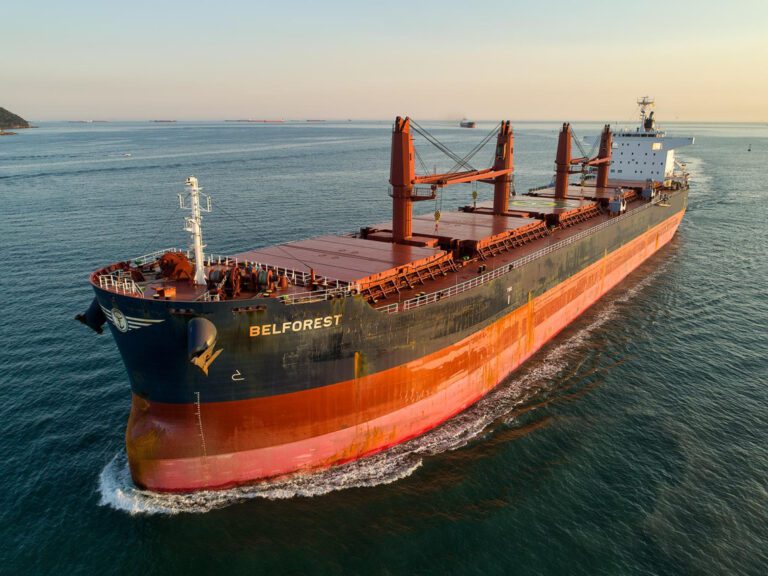 The Benefits of Belforest Water for Your Health