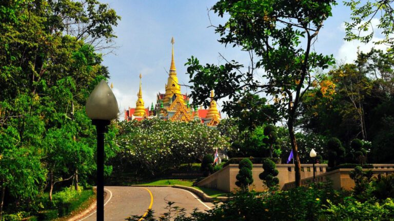 Imran Khan’s Latest Pic: Is He the Ultimate Selfie King?