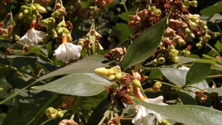 The Unstoppable Shweta Mehta: A True Inspiration