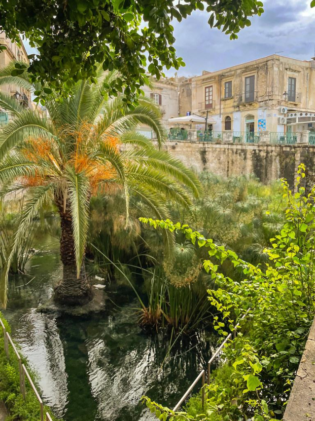 Exploring Ancient Nepal Wedding Traditions