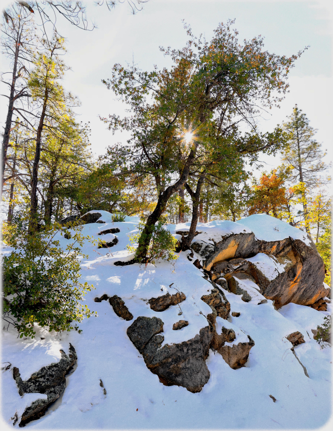 Are Your Feet Turning into Granny Feet? Find Out Why!