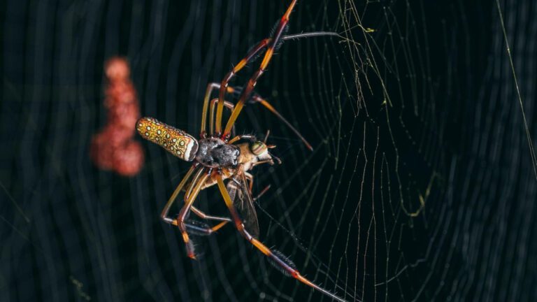 Are Sigourney Weaver’s feet okay?