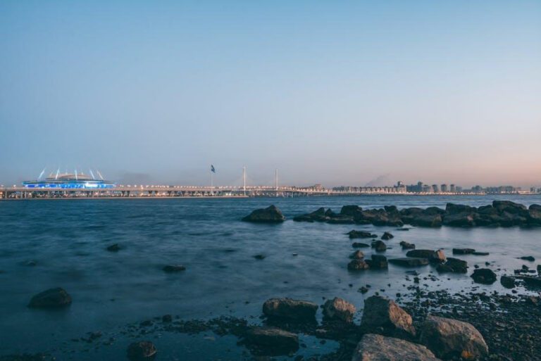 Neha Yadav: An Emotional Argument for Her Impact and Importance