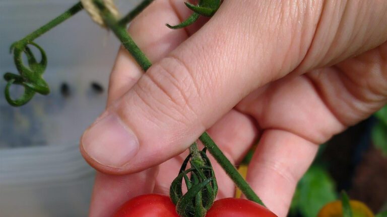 The Shocking Truth About Pornhub 21: Harmful Effects Exposed