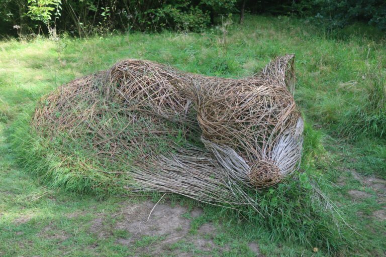 The History of Rapes in India