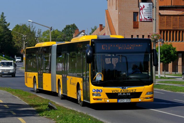 Why Lion Carrying Its Cub Will Melt Your Heart