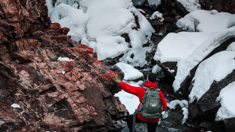 Desperate Need for Change: Afghanistan Coach Must Go