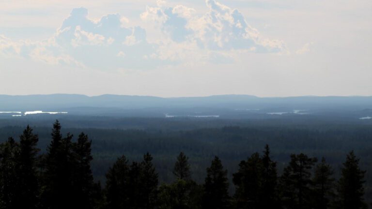 Uncovering the Origins of the 16 Word Wordle Game