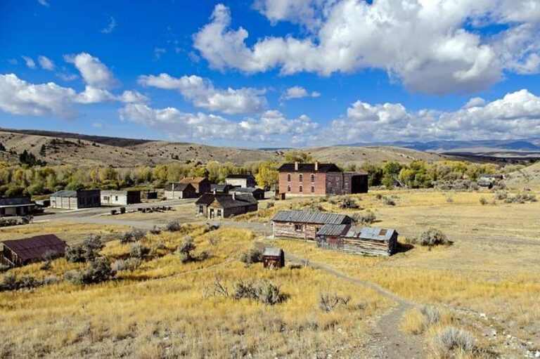 The Historical Legacy of the Duckupine