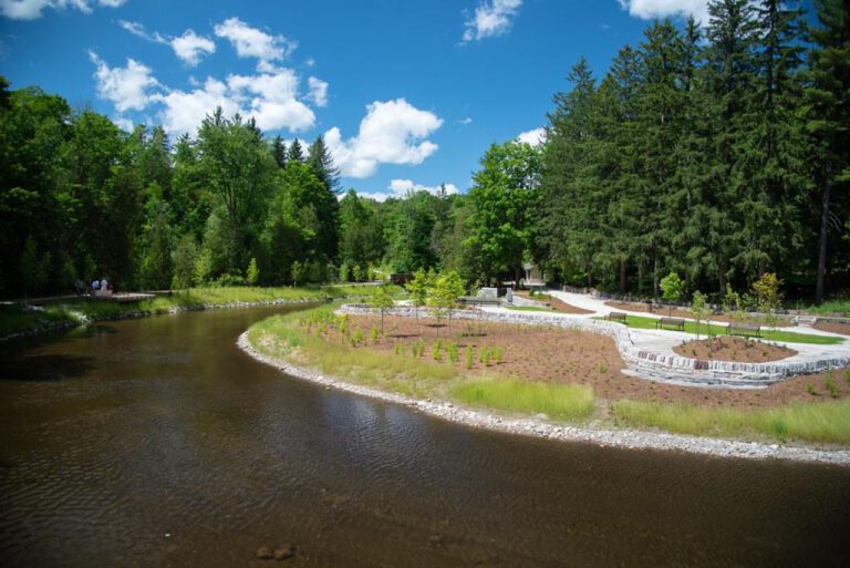 Bideawee: A Historical Look at a Beloved Animal Welfare Organization