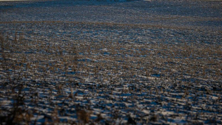 Jawed Karim: From YouTube Co-founder to Impressive Net Worth