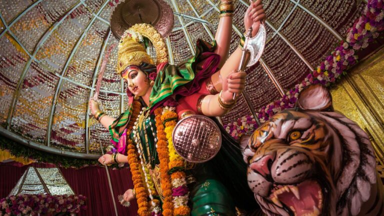 Exploring the Rich History of Temple Terrace Library