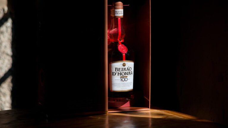 Exploring the Legacy of Hands on Atlanta