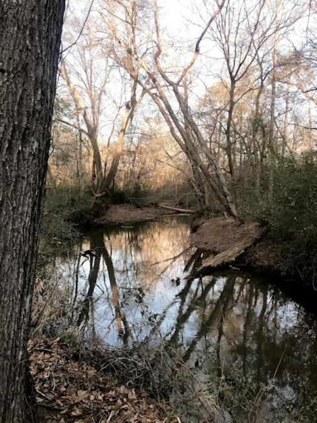 Exploring the rich history of Canoe Brook Country Club