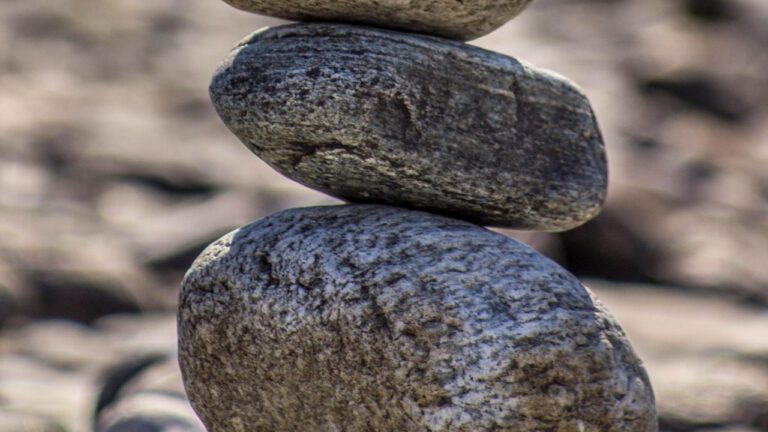 Revolutionizing Health with Action for Healthy Kids