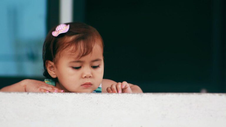 Copper Country Humane Society: A Historical Tale of Compassion