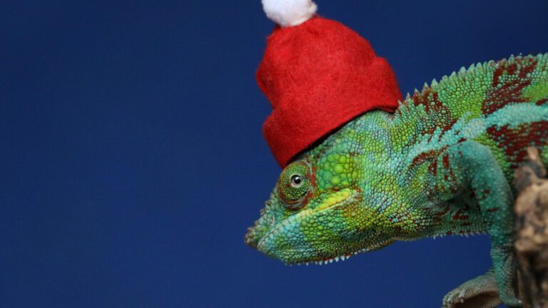 Nativity Lutheran Church: A Historical Journey