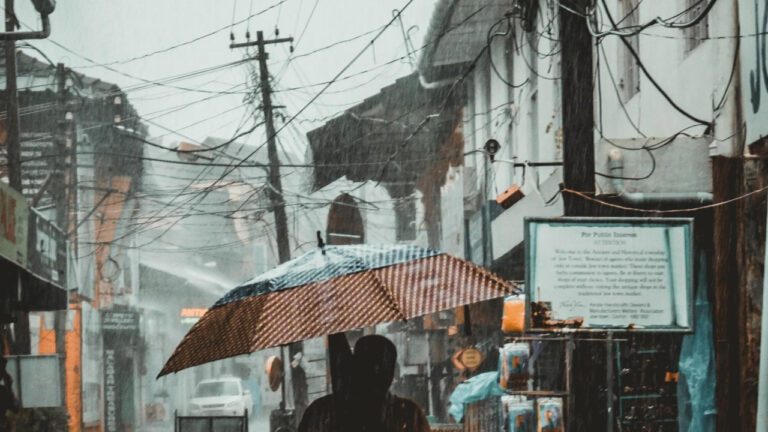 The Historical Legacy of Alley Kat: A Feline Tale