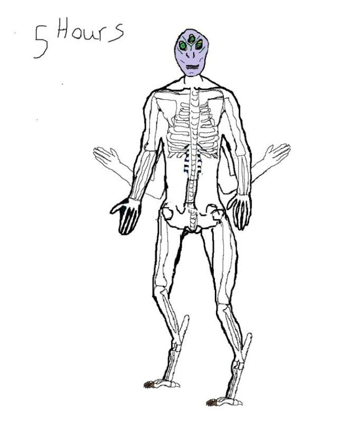 Exploring the Legacy of Wooster School