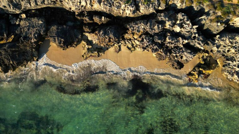 Nia-Malika Henderson’s Wife Photos: A Glimpse into her Personal Life