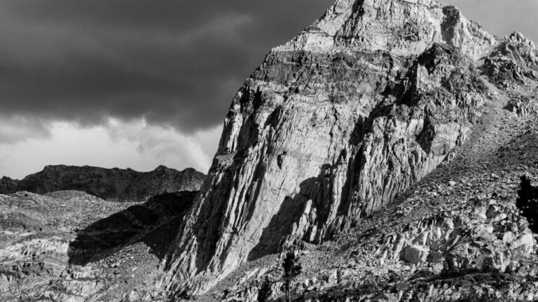 Miranda Rae Mayo’s Partner: A Story of Love and Support