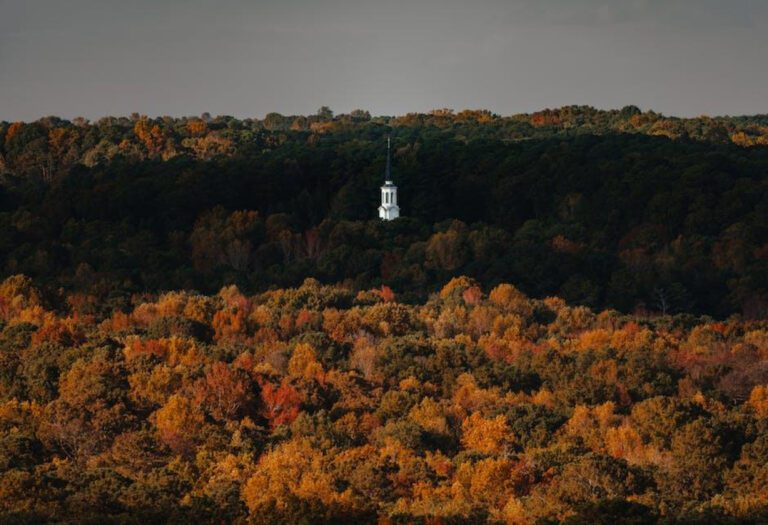 Is Tucker Carlson’s Weight Affecting His Health
