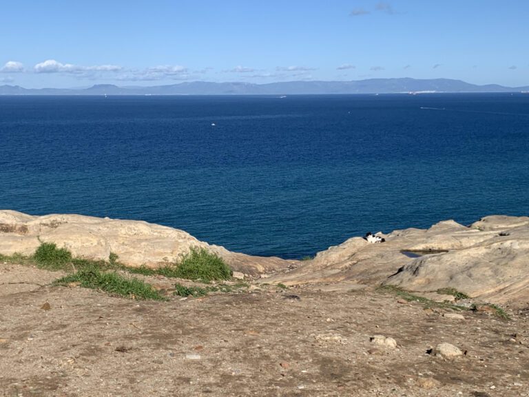 Iam Tangi’s Height Revealed: How Tall is the Actress